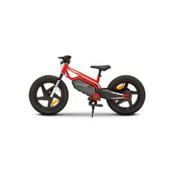 Ducati Mini Moto Elettrica per Bambini 150W 16 km/h Ruote 16 Tre Velocità