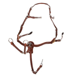 Collier de chasse pour cheval à 5 points Acavallo