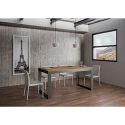 Table - TECNO - EVOLUTION - Extensible 180 à 284 cm - Dessus Chêne Nature - Cadre Anthracite