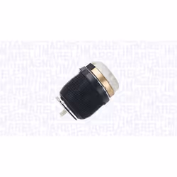 Ressort pneumatique MAGNETI MARELLI 350001000002