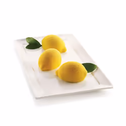 Silikomart 26.261.13.0065 Anneau de gâteau Beige Silicone 106 ml 6 pièce(s)