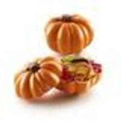 Moule thermoformés chocolat Silikomart Pumpkin