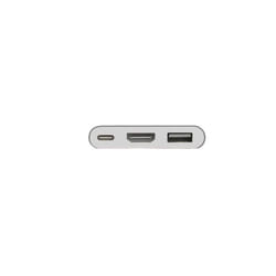 Nilox NLX-TC-HDMIUSBT adaptateur graphique USB Argent