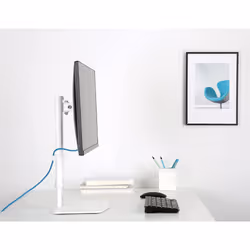 Techly ICA-LCD 260 support d'écran plat pour bureau 27" Blanc - Vue supplémentaire 11