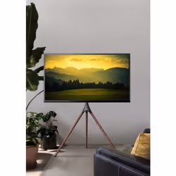 Techly ICA-TR18SAM support pour téléviseur 65" Noyer - Vue supplémentaire 13
