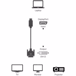 Techly ICOC DSP-C12-030P câble vidéo et adaptateur 3 m DisplayPort DVI-D Noir