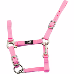 Nylon double carrière pour poulain boucles en fer laitonné et double mousqueton réglable Mesures : 0 (poulain), 00 (mini poul ...