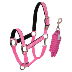 Licol pour cheval avec longueur Equestro Modello Shiny Fittings