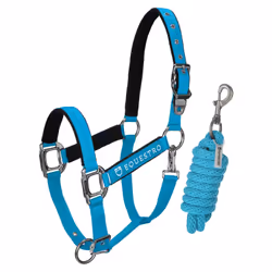 Licol pour cheval Equestro Shiny Fittings