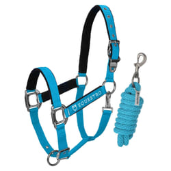 Licol pour cheval Equestro Shiny Fittings