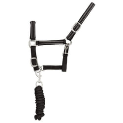 Ensemble licol et longe pour cheval nylon refléchissante Supreme