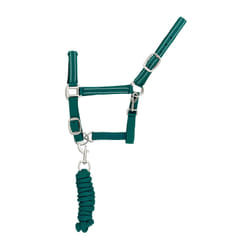 Ensemble licol et longe pour cheval nylon refléchissante Supreme