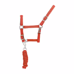 Ensemble licol et longe pour cheval nylon refléchissante Supreme
