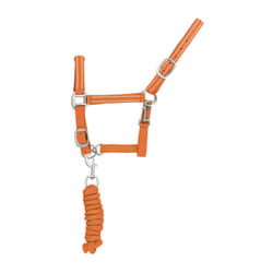 Ensemble licol et longe pour cheval nylon refléchissante Supreme