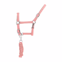 Ensemble licol et longe pour cheval nylon refléchissante Supreme