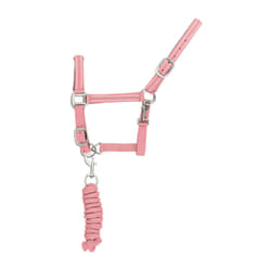 Ensemble licol et longe pour cheval nylon refléchissante Supreme