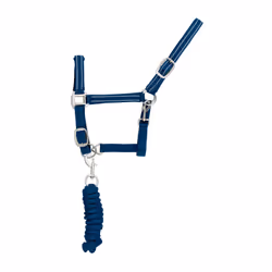 Ensemble licol et longe pour cheval nylon refléchissante Supreme