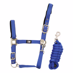 Ensemble licol en nylon et longe tressé pour cheval Supreme