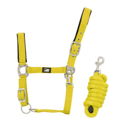 Ensemble licol en nylon et longe tressé pour cheval Supreme