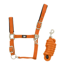 Ensemble licol en nylon et longe tressé pour cheval Supreme