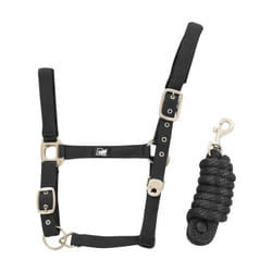 Ensemble licol en nylon et longe tressé pour cheval Supreme