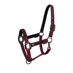 Ensemble licol en nylon et longe pour cheval en nylon Equestro