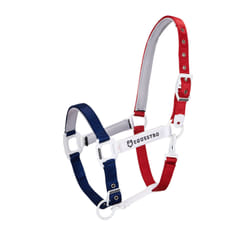 Licol pour cheval + laisse Equestro Flaggy