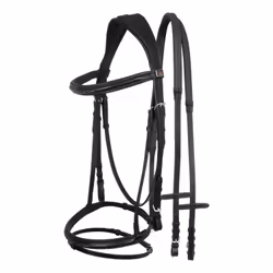 Bridons équitation pour cheval contrasté Supreme