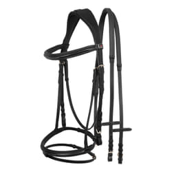Bridons équitation pour cheval contrasté Supreme
