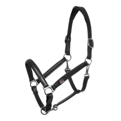 Licol pour cheval en cuir Supreme