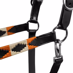 Licol pour cheval en cuir Equestro Polo N