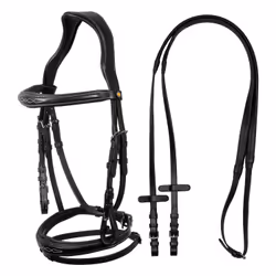 Bride équitation cuir anatomique coutures fantaisie Equestro