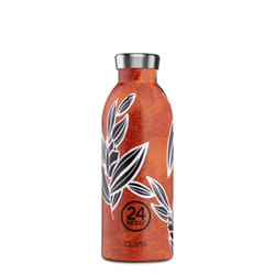 24Bottles Clima Utilisation quotidienne 500 ml Acier inoxydable Multicolore