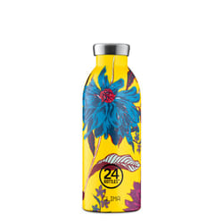 24Bottles Aster Utilisation quotidienne 500 ml Acier inoxydable Multicolore