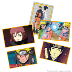 Panini NARUTO SHIPPUDEN 2 - Album + range cartes + 2 pochettes