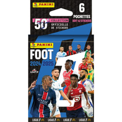 Panini FOOT 2024 2025 LIGUE 1 McDonald's Blister 6 pochettes de 7 stickers