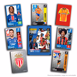Panini FOOT 2024 2025 LIGUE 1 McDonald's boité métal - Vue supplémentaire 5