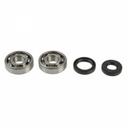 Kit de réparation, vilebrequin ATHENA P400250444001