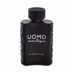 Salvatore Ferragamo Uomo Signature 100ml Hommes