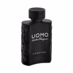 Salvatore Ferragamo Uomo Signature 100ml Hommes