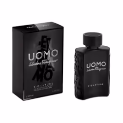 Salvatore Ferragamo Uomo Signature 100ml Hommes - Vue supplémentaire 5