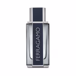 Salvatore Ferragamo Ferragamo Eau De Toilette 100ml, Hommes, 100 ml, Flacon non réutilisable, Bergamote, Citron, Sage, Cuir, ...