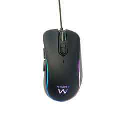 Ewent PL3302 souris Droitier USB Type-A Optique 3600 DPI