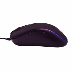 Ewent PL3302 souris Droitier USB Type-A Optique 3600 DPI