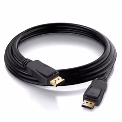 Ewent EC1411 câble DisplayPort 2 m Noir
