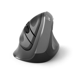 Ewent EW3229 souris Droitier RF sans fil Optique 2400 DPI