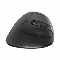 Ewent EW3229 souris Droitier RF sans fil Optique 2400 DPI