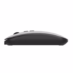 Ewent EW3207 souris Universel Ambidextre RF sans fil + Bluetooth Optique 1600 DPI