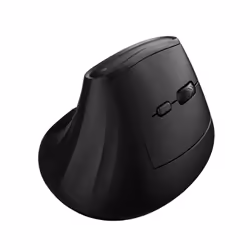 Ewent EW3208, Droitier, Conception verticale, Optique, RF sans fil + Bluetooth, 4000 DPI, Noir