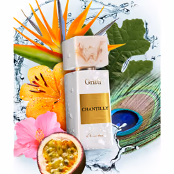 Gritti Venetia Chantilly 100ml Femmes